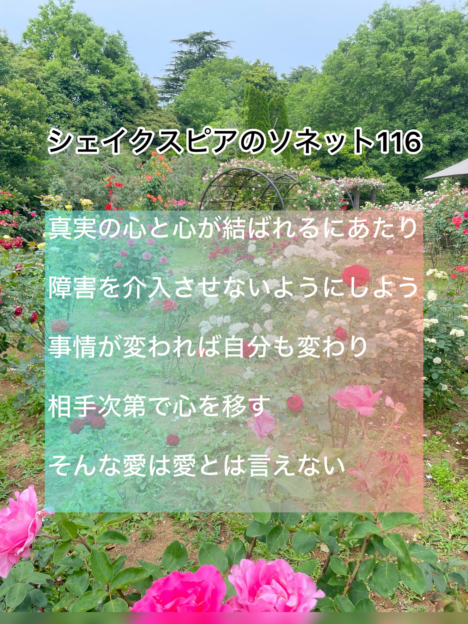 シェイクスピア・ソネット116番